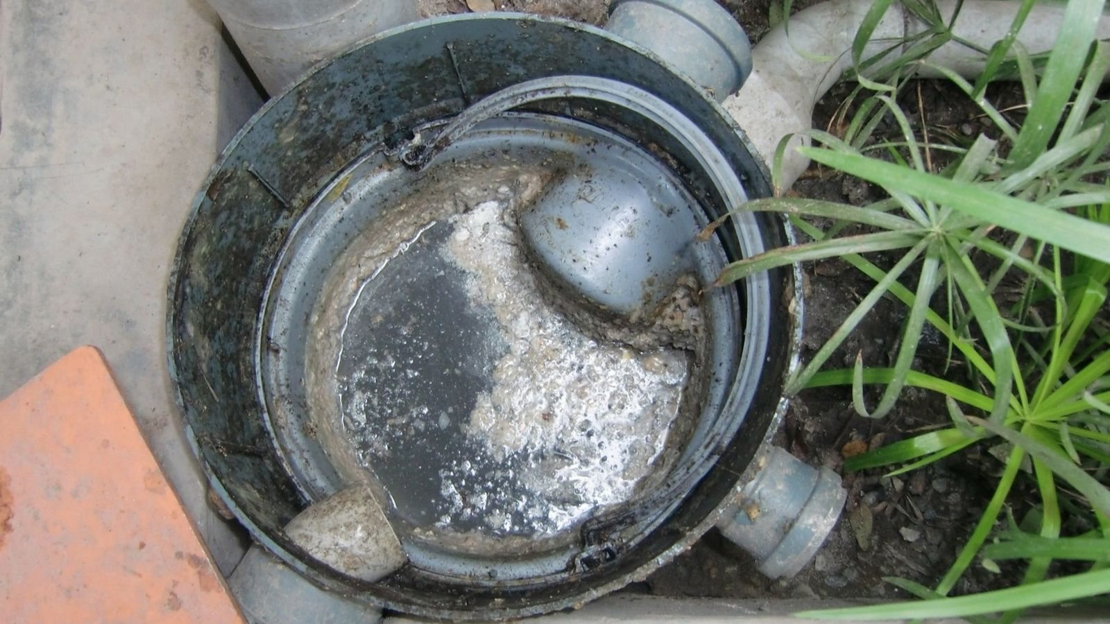 Technician servicing a commercial grease trap